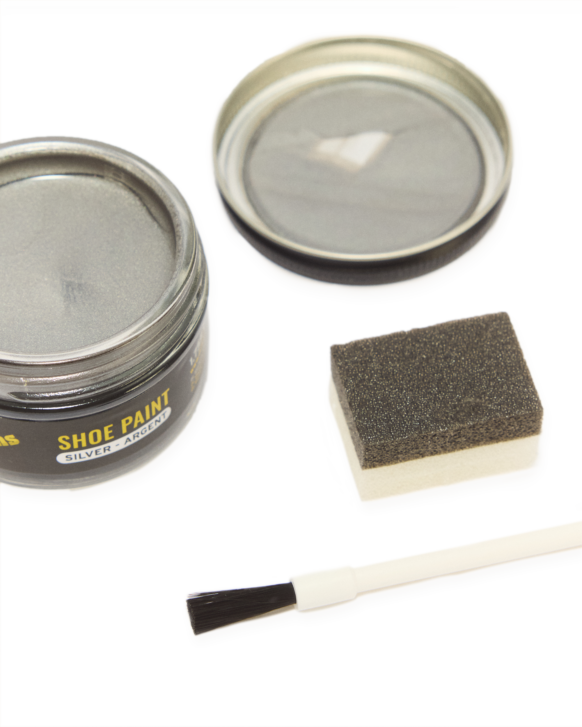 Silver Shoe Paint